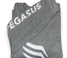 Pegasus Grey Long Sleeve Shirt